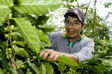 Kaffeebauer Antonio | Bild: GEPA - The Fair Trade Company/Nusch
